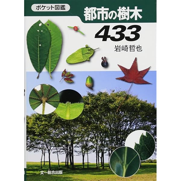 身近な草花〈街中〉 (ポケット図鑑) | 亀田 龍吉 |本 | 通販 | Amazon