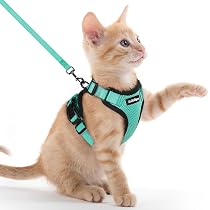 Amazon | Rabbitgoo 猫用 ハーネス リードセット 犬猫兼用 超小型犬