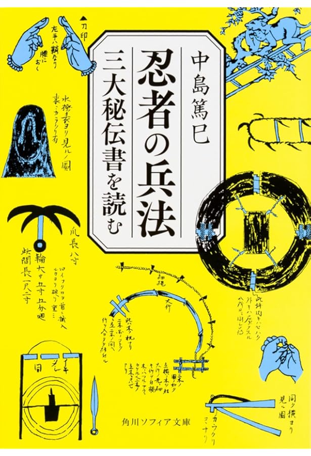 忍術伝書 正忍記【プリントオンデマンド版】 | 藤一水子正武, 解読