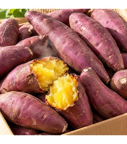Amazon.co.jp: 茨城県産シルクスイート 100%使用 