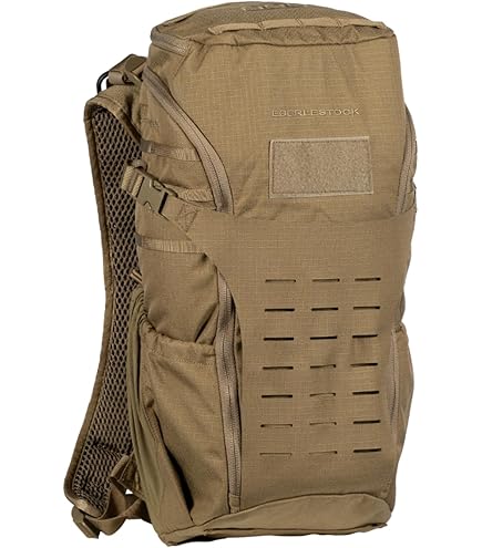 Amazon.co.jp: エベレー(Eberlestock) チェリーボムパック S25GN: 車