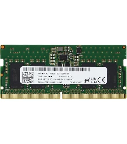 Amazon.co.jp: Sam Original 16GB (2x16GB) DDR5 5600MHz (または
