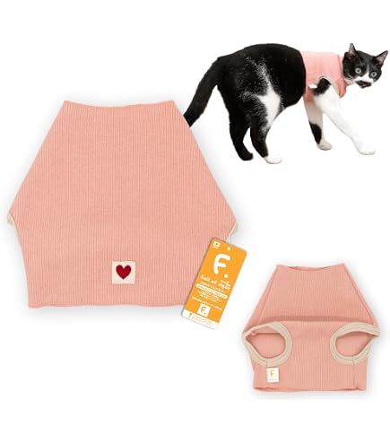 Amazon.co.jp: なめ猫 レトロ なめんなよ猫 下敷き ！ : ペット用品