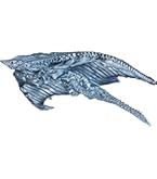 Amazon.co.jp: ムービーモンスターシリーズ アンギラス(1955) : おもちゃ