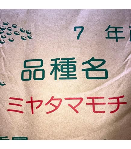 Amazon.co.jp: ミヤタマモチ種籾300g ハッピーヒル代用の陸稲種子
