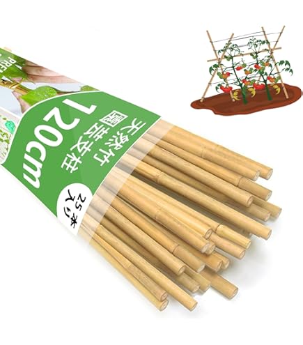 未成長の落葉樹、竹製支柱付き 園芸 支柱 竹 12~15mm 180cm 100本 天然竹 女竹 トマト キュウリ 個人