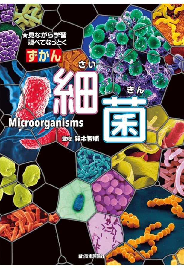 小さくてふしぎな ウイルスのひみつ (のぞいてみよう ウイルス・細菌