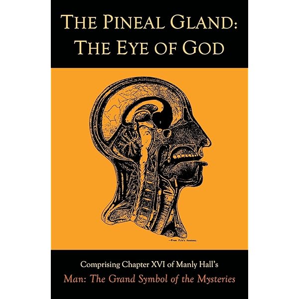 Amazon.co.jp: Secret Destiny of America : Hall, Manly P.: 洋書