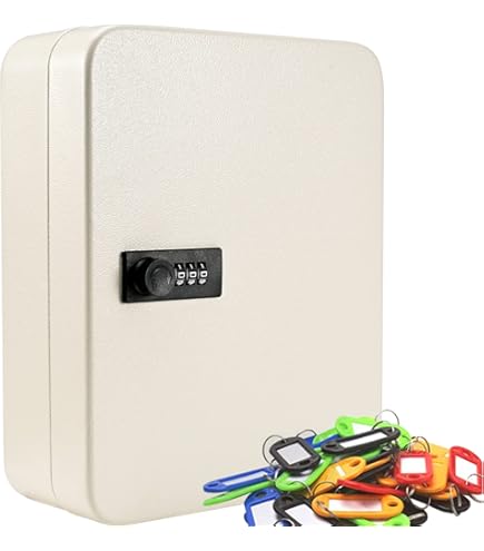 未開封品　ライオン事務器 キーボックス 壁掛 No.80KB 2面 80個掛用 Amazon.co.jp: ライオン事務器 キーボックス 壁掛 No.80KB 2面