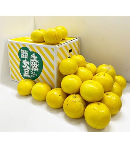 中玉限定☆ご家庭用　高知特産土佐文旦　 2L〜Lサイズ　約20㎏ みんなの逸品！土佐文旦 中箱（～5kg）2Lサイズ