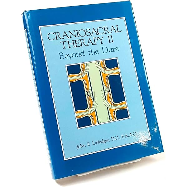 Amazon | Visceral Manipulation II (Revised Edition) | Barral, Jean