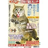 日刊ゲンダイ特別号「日刊ニャンダイ2024」(2024年2月15日発行)