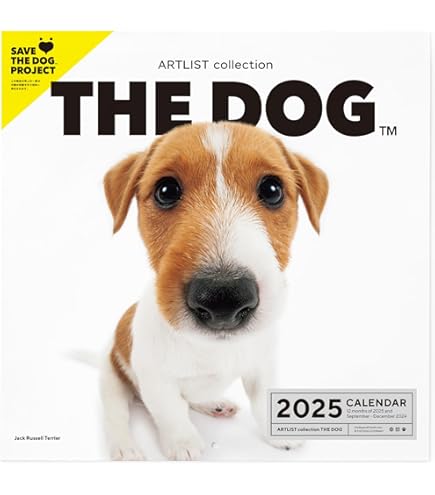 Amazon.co.jp: イギリス ロイヤルドルトン 犬 ジャックラッセルテリア 