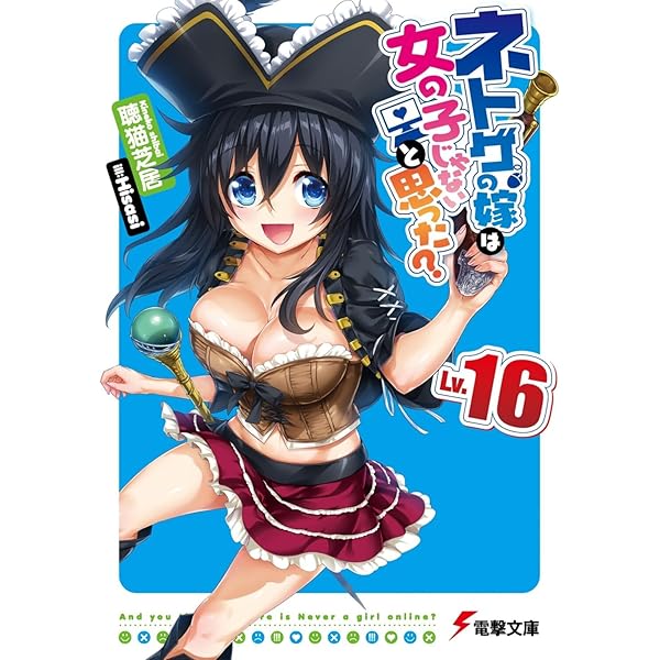 Amazon.co.jp: ネトゲの嫁は女の子じゃないと思った? Lv.17 (電撃文庫