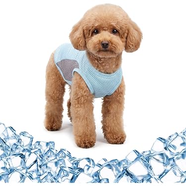 Amazon.co.jp 最新リリース: 犬用服・アクセサリ の新着ランキングです。