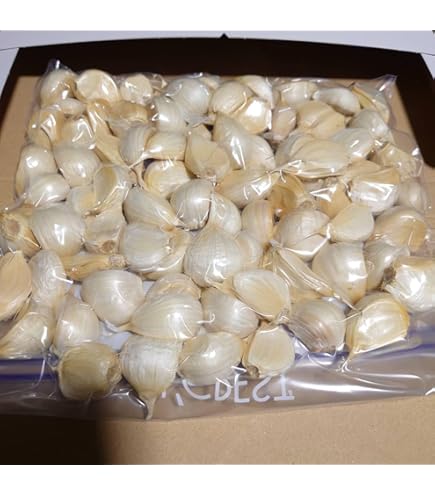 Amazon.co.jp: (産直) 約10kg にんにく 加工用 全訳あり 約10kg 加工用