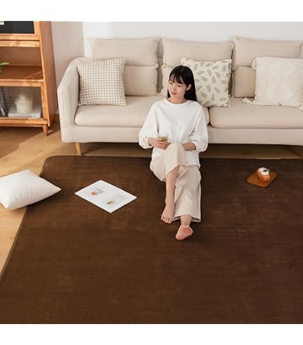 Amazon｜アイリスプラザ ラグ カーペット マット シャギー 185×185cm