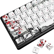 71SraPQCh7L._AC_UL210_SR210, 71SraPQCh7L._AC_UL210_SR210,