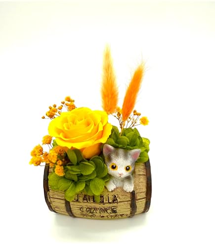 Amazon.co.jp: Ruplan プリザーブドフラワー 『minette ミネット 猫