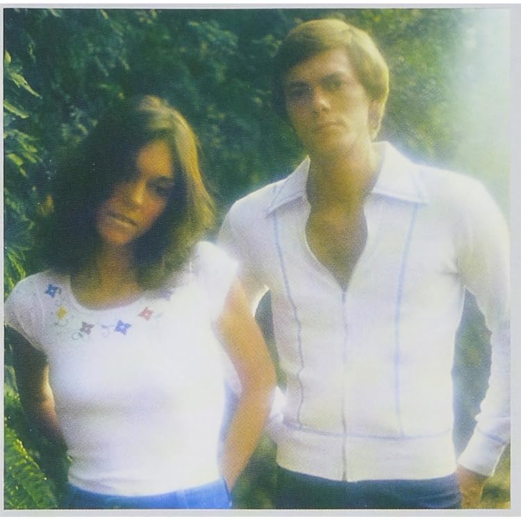 Amazon.co.jp: カーペンターズ・ボックス~40周年記念