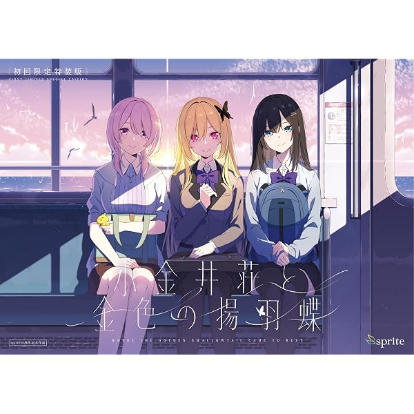 Amazon.co.jp: Rouge et Noir OFFICIAL DATA FILE 2【書籍】 : Software