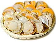 ボイル帆立 北海道産 道内加工 浜茹で スチームボイル製法 特大サイズ (特大 1kg)