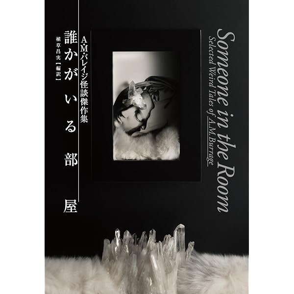 ビアス怪奇幻想譚 この世の理を超えて (論創海外ミステリ 344