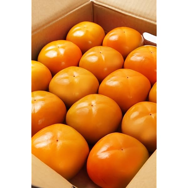 柿36 Amazon.co.jp: もりもとや 和歌山県産 たねなし 柿 訳あり