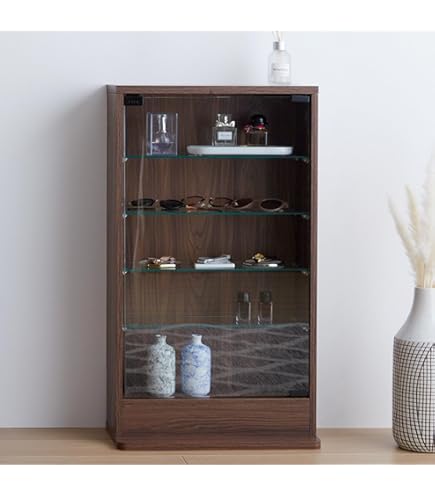 Amazon | 塩川光明堂 コレクションケース カルトーネ スカーラ 1000