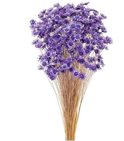 Amazon｜大地農園 ドライフラワー スターフラワー・ブロッサム(18g入り