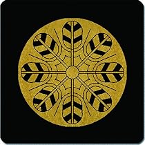 71SynGcKUHL._AC_UL210_SR210,