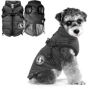 Amazon.co.jp 売れ筋ランキング: 犬用コート・ジャケット の中で最も