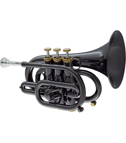 m*i様 ポケットトランペット（trumpet）　Kaerntner製 Kaerntner KTR33P ポケットトランペット ゴールド ケルントナー