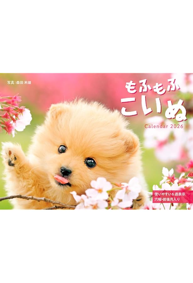 Amazon.co.jp: 2025 こいぬカレンダー（壁掛け）犬 ([カレンダー