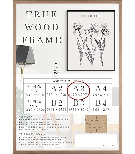 Amazon.co.jp: 羅媚斗 サターン B2 サイズ ポスター : ホーム＆キッチン