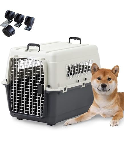 Amazon | ペットメイト バリケンネル ペット用 ML グレー | Petmate