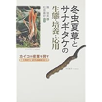 71T0xERDJ9L._AC_UL210_SR210,