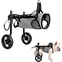 M.シュナウザー4輪歩行器!リハビリ!食事補助!犬用車椅子!介護!犬の歩行器! M.シュナウザー4輪 リハビリ 食事補助 犬用車椅子 介護用 犬の歩行器