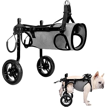 ✴︎中型犬用 車椅子 ・リハビリ　Mサイズ 楽天市場】＼期間限定☆店内全品5%OFFクーポン配布中／犬用