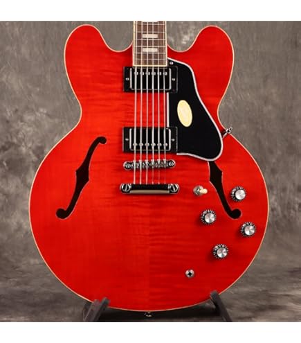 Amazon | Epiphone/Inspired by Gibson ES-335 Bigsby
