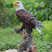 71T2bXtF8JL._AC_UL210_SR210,