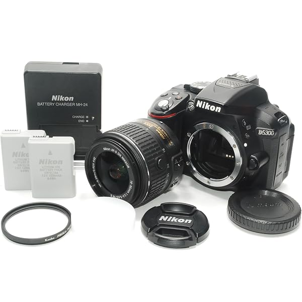 今すぐ使えるかんたんmini NikonD5300基本&応用 撮影ガイド | MOSH 