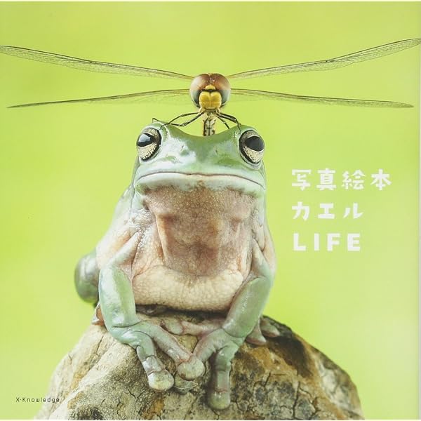 Amazon.co.jp: カエル (見て楽しめる爬虫類・両生類フォトガイド