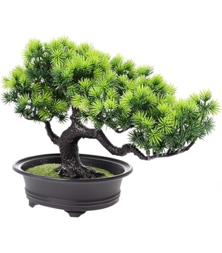 Amazon｜人工盆栽【ミニ 盆栽 五葉松 1個】松 五葉松 フェイク