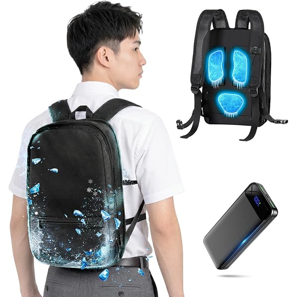 Amazon.co.jp: [AIOVN] ペルチェ ベスト【2025夏日本企画＆2つ冷却