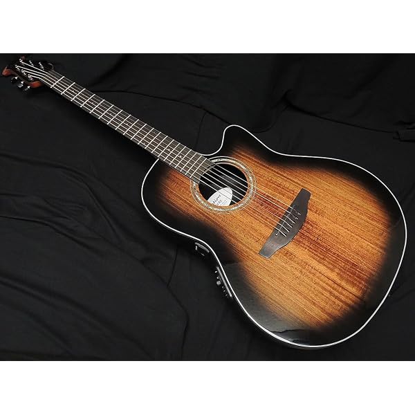 Amazon.co.jp: OVATION CE44-1-G SB Celebrity Elite CE44-1 Sunburst