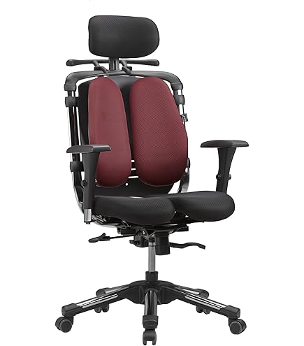 HARA CHAIR:ハラチェアー　ニーチェA Amazon.co.jp: Hara Chair ハラチェア ニーチェ 《標準モデル