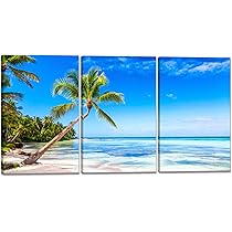 Amazon.co.jp: アートパネル 3枚 海 ココナッツ壁の絵 ポスター 海の絵
