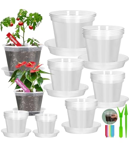 thumbnail image 2 of Clear Nursery Pots For Plants,5 Inch Plant Pot For Planting Plastic Seedling Drainage Holes Seed Starter Flower High Transparency 20 Labels 30 Pack 2 of 9