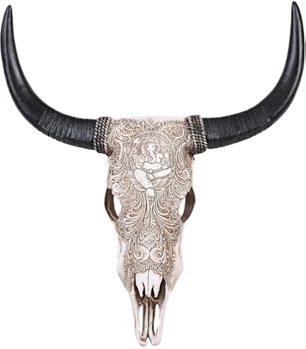 Amazon.co.jp: Long Horn Cow Skull Wall Hanging Longhorn Steer